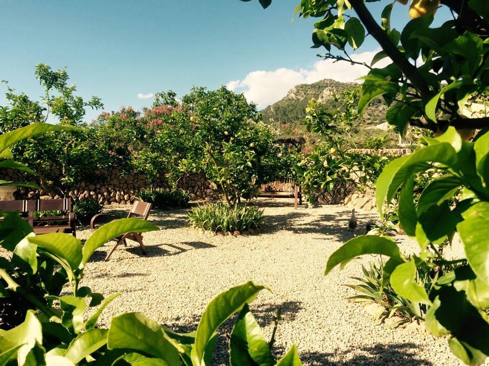 Finca Can Paulino (Adults Only) Llucmajor  Phòng bức ảnh