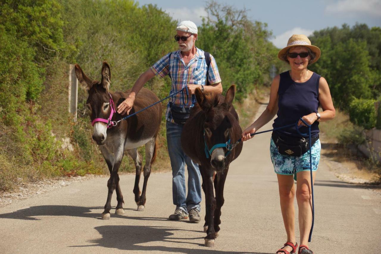 Finca Can Paulino (Adults Only) Llucmajor  Ngoại thất bức ảnh